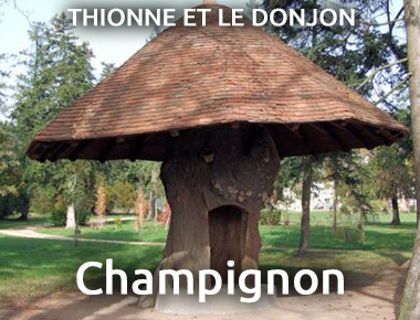 Champigon