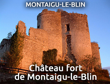Château fort - Montaigu-le-Blin